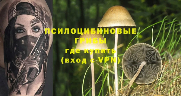 спайс Алексеевка