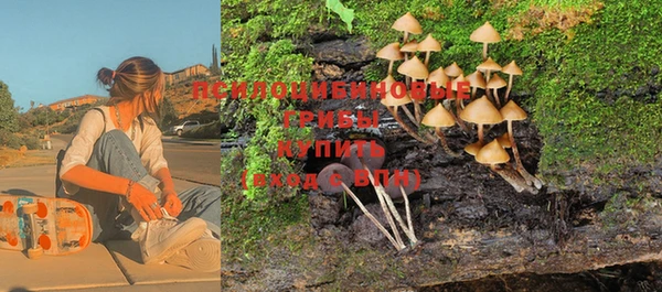 Альфа ПВП Абаза