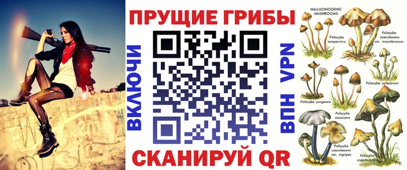 продажа наркотиков  Новотитаровская  Псилоцибиновые грибы мицелий 